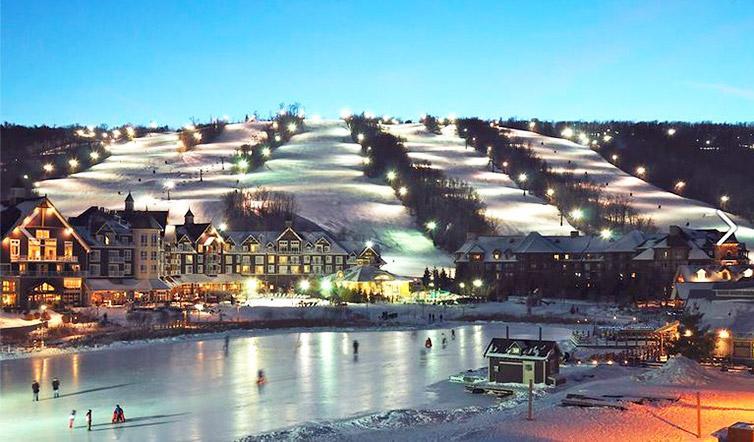 Condo Loft At Blue Mountain بلو ماونتينز المظهر الخارجي الصورة